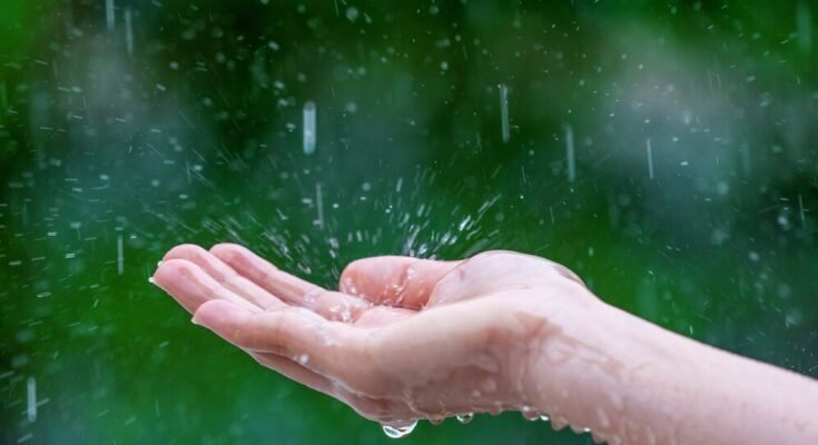 Is Rainwater the secret to Healthy Hair?